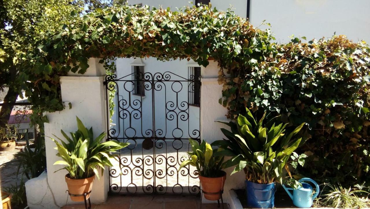 Gasthaus Don Claudio Grazalema Exterior foto